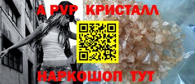 крисы Кунгур