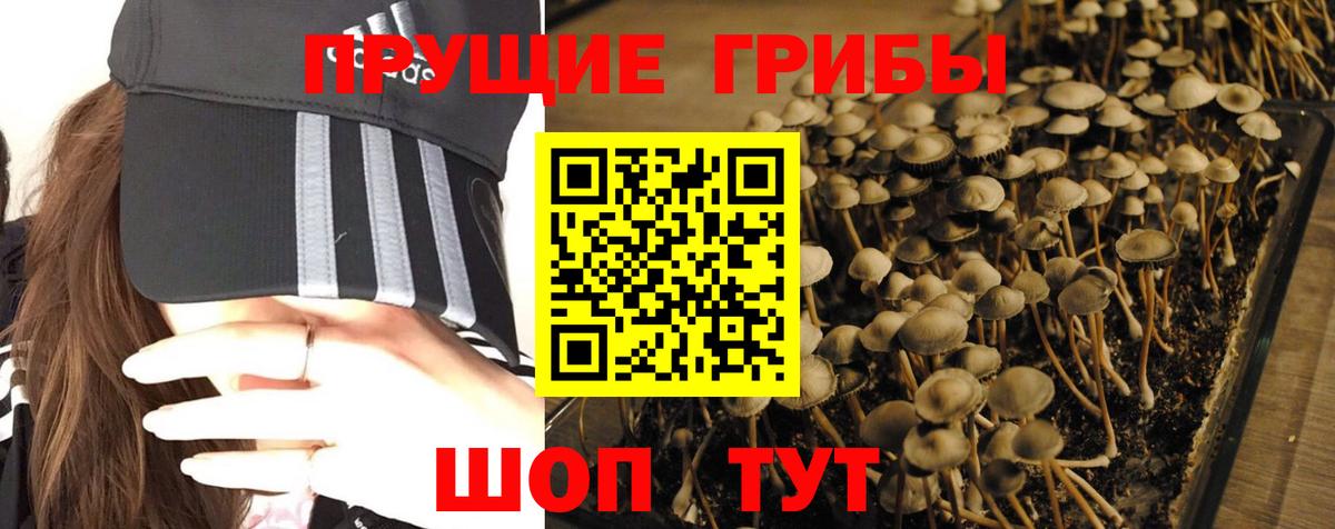 Псилоцибиновые грибы GOLDEN TEACHER  Вход с VPN  Галлюциногенные грибы прущие грибы  Арзамас 